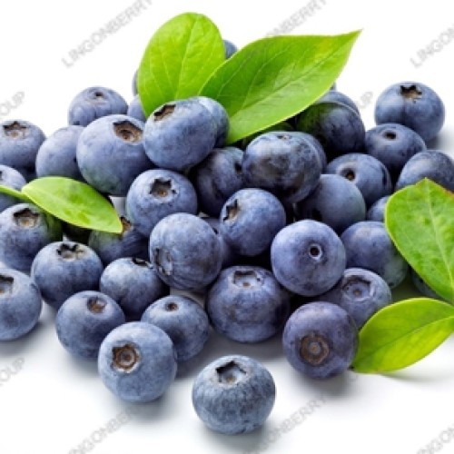 Blueberry extract